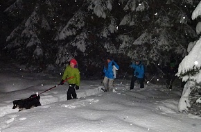 tief im verschneiten Winterwald
